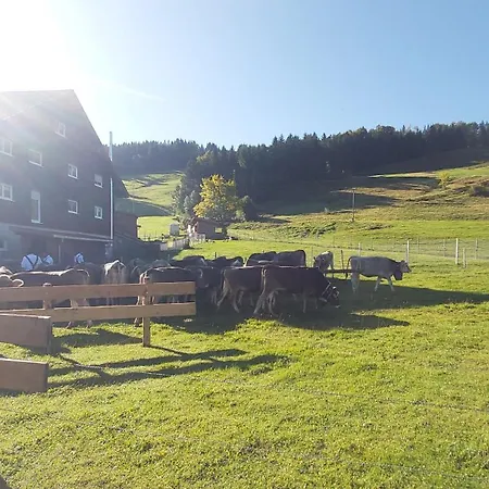 Daheim Nr 1 - Suedwesterhaus Allgaeu
