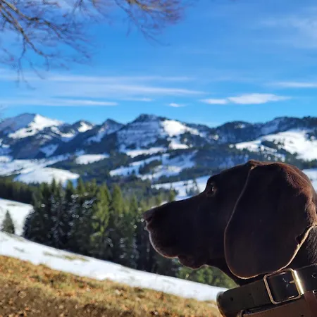 Daheim Nr 1 - Suedwesterhaus Allgaeu * Oberstaufen