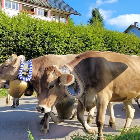 Daheim Nr 1 - Suedwesterhaus Allgaeu Oberstaufen