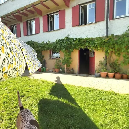 Daheim Nr 1 - Südwesterhaus Allgäu Apartment Oberstaufen