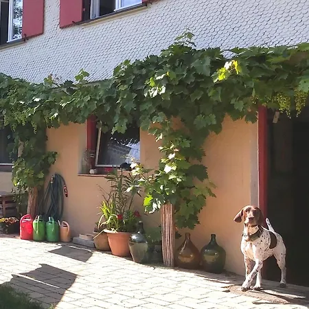 Daheim Nr 1 - Südwesterhaus Allgäu Apartment Oberstaufen